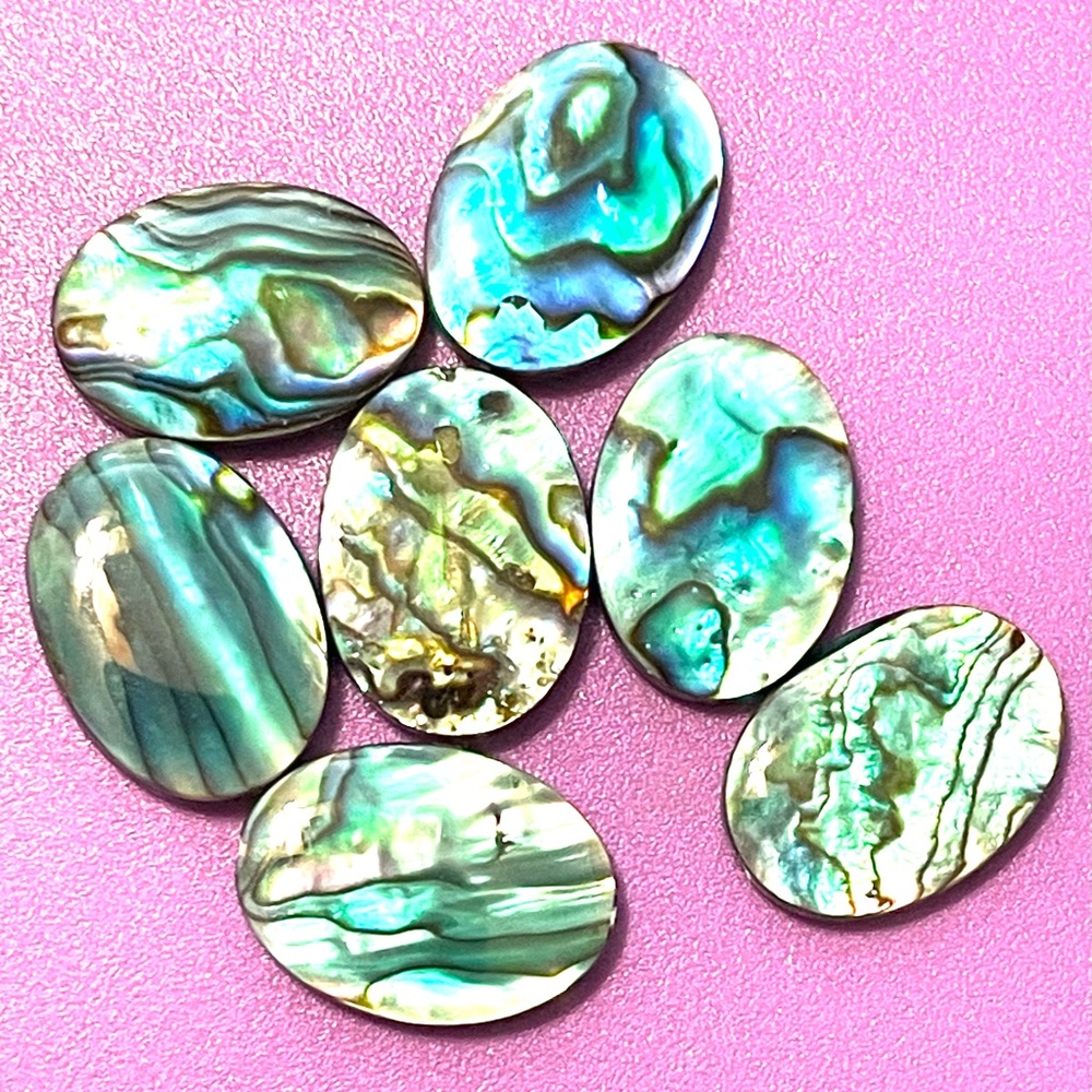 Natural Paua/ Abalone Beads